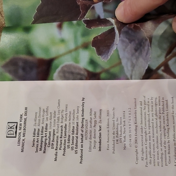 DK Garden guide Perennials 2003 paperback by Richard Rosenfeld 320 pages - Picture 4 of 8